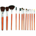 Professional Makeup Brush Kit with Leopard Pouch Cosmetic Brushes Set - 12 Piece